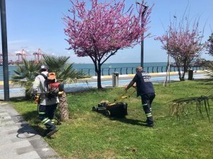 Akdeniz’de Parklar Bahara Hazırlanıyor