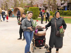 Gaziantep’te Lale Devri