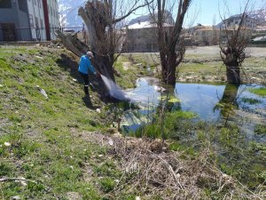 Hakkari’de İlaçlama Çalışması Başlatıldı