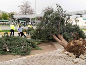 Tokat’ta Fırtına Hayatı Olumsuz Etkiledi