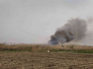 Hatay’da Sazlık Alanda Yangın