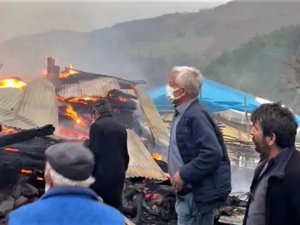Tokat’ta Ahır Yangınında 3 Buzağı Telef Oldu