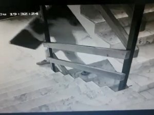 Kameralara Aldırmadan Televizyonu Böyle Çaldı