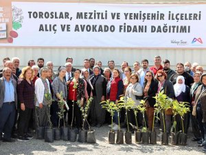 Mersin’de 105 Üreticiye Avokado Ve Alıç Fidanı Desteği