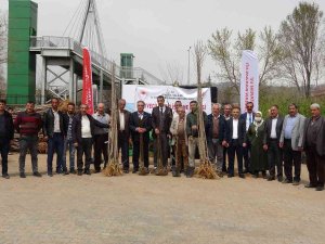 Bingöl’de İlk Defa Çiftçilere Üzümsü Meyve Fidanı Dağıtıldı