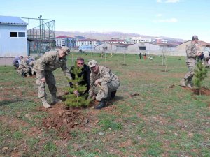 Bingöl’de Jandarma Şehitler Anısına Fidan Dikti