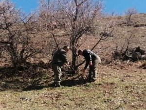 Elazığ’da Yaban Hayatı Ve Kaçak Avcılar, Fotokapanlarla Tespit Ediliyor