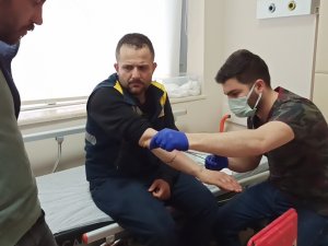 Elektrik Dağıtım Firmasının Görevlisine Köpekler Saldırdı