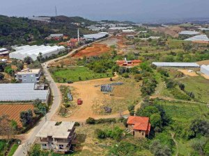 Alanya’da Tropik Meyve Tanıtım Merkezi Kuruluyor