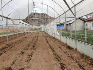 Yozgat’ta Şiddetli Rüzgar Seralara Zarar Verdi