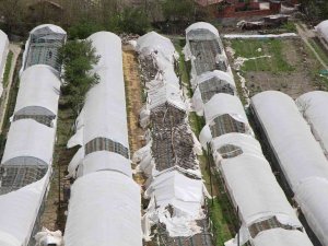 Karın Yıktığı Seraları Bu Sefer De Fırtına Vurdu