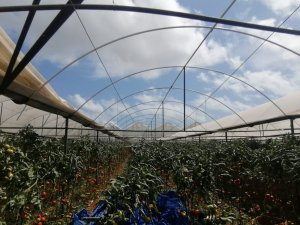 Antalya’da Hortum Seraları Vurdu