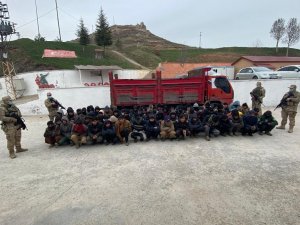 Bitlis’te 110 Göçmen Yakalandı