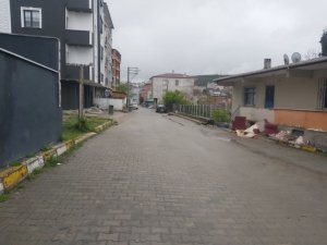 Kocaeli’de İki Grup Arasında Kavga: 5 Yaralı