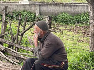 Yaşlı Adamın Ardiyesi Alev Alev Yandı, Gıda Ve Yemleri Kül Oldu