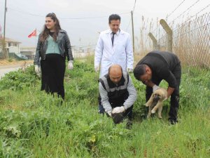 Manisa’da Köpek Katliamı: 20’ye Yakın Zehirlendi