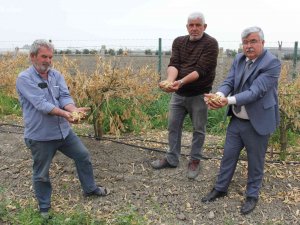 Zirai Don Mersin’i Vurdu, Sebze-meyveye Ulaşmak Hayal Oldu
