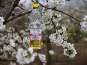 Üreticinin Biyoteknik Mücadelesine Destek