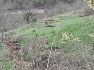 Köy Yolunun Çöktüğü Bölgede İkinci Heyelan