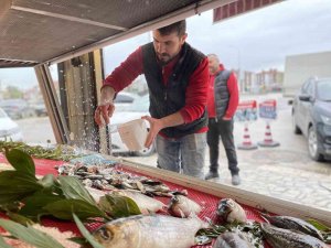 Avlanma Yasağı Başladı, Tezgahları Olta Balıkları Süslüyor