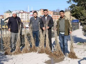 Ordu’da İpek Böcekçiliği Yaygınlaşıyor