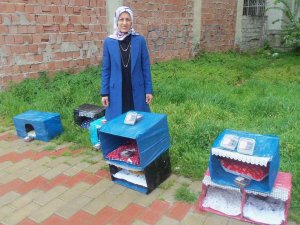 Kadın Girişimci Soğuk Günlerde Sokak Hayvanlarını Unutmadı