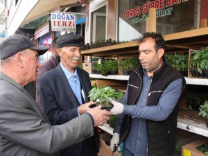 Oltu’da Fide Sezonu Başladı