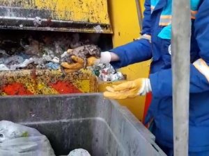 Tuzla’da Çöpten Kurtarılan Yavru Kediler Görenlerin Yüreğini Burktu