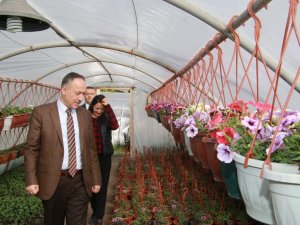 Başkan Saygılı: "Çiçek Seraları Bütçemize Tasarruf Sağlıyor"