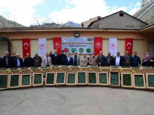 Gümüşhane’de Üreticilere 150 Bin Sebze Fidesi Dağıtıldı