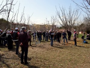 Erzincan’da “ Aşılama Ve Meyve Ağacı Budama” Kursu Verildi