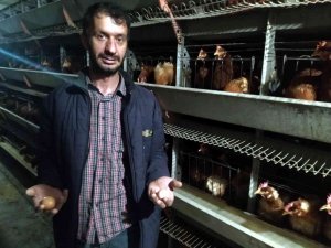 Yumurta Üreticileri Devletten Destek Bekliyor