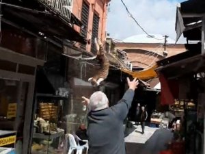 İ̇ş Yerinin Tabelasında Mahsur Kalan Kediyi Kurtarmak İçin Seferber Oldular