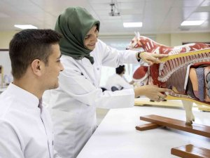 Veteriner Fakültesine 7 Yıllık Tam Akreditasyon