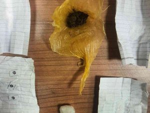 Van’da ‘Torbacı’ Operasyonu