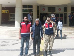 Terör Örgütüne Yardım Eden Zanlı Yakalandı