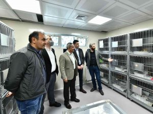 Sincan Kedi Tedavi Ünitesi Ve Rehabilitasyon Merkezi Görücüye Çıktı