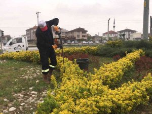 Düzce Rengarenk Bir Görünüme Kavuştu