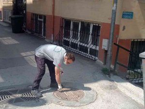 Osmangazi’den Haşerelere Karşı Başarılı Mücadele