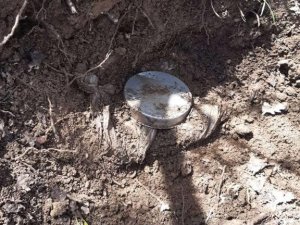 Muş Kırsalında Toprağa Gömülü Vaziyette 12 Kg Patlayıcı Madde Ele Geçirildi