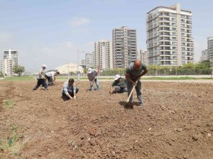 Mezitli’de İhtiyaç Sahipleri İçin Sebze Bahçesi