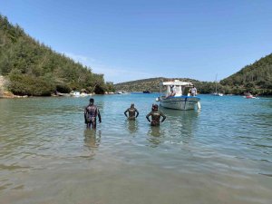 Bodrum’da Sahil Ve Yol Kenarları Atıktan Temizlendi
