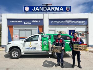 Yolcu Otobüsünden 63 Sincap Yavrusu Çıktı