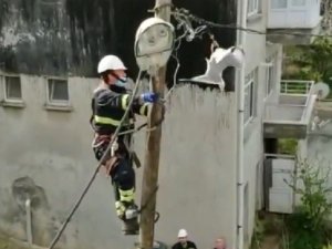 Ayağından Elektrik Teline Takılan Martıya Kurtarma Operasyonu