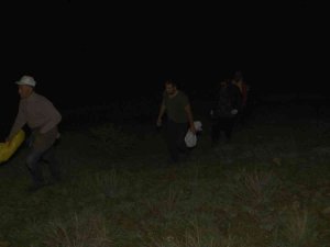 Bu Bitkiyi Toplamak İçin Gökyüzü Aydınlanmadan Yola Çıkıyorlar
