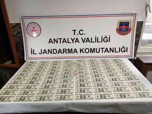 Antalya’da Sahte Dolar Operasyonu: 2 Gözaltı