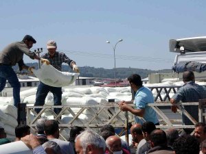 Osmaniye’de 725 Arıcıya 108 Ton Şeker Desteği Sağlandı