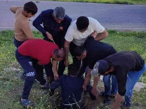 Mardin’de Kuyuya Düşen İnek İtfaiye Ekipleri Tarafından Kurtarıldı