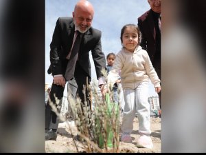 Kocasinan, Lavanta Bahçesine Dönüşüyor