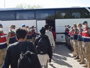 Düzensiz Göçmenler Sınır Dışı Ediliyor